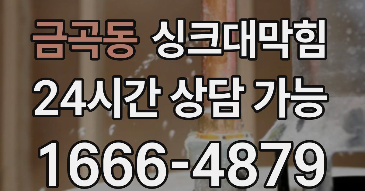 금곡동 싱크대 뚫기