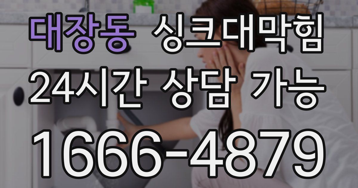 대장동 싱크대 뚫기