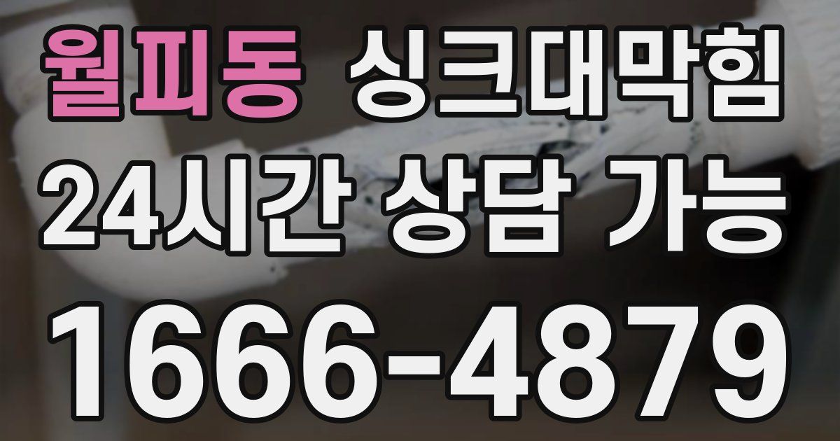 월피동 싱크대 뚫기