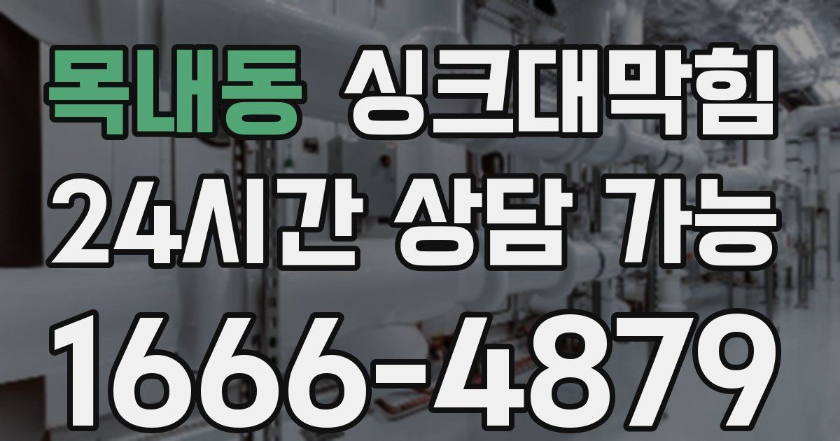목내동 싱크대 뚫기