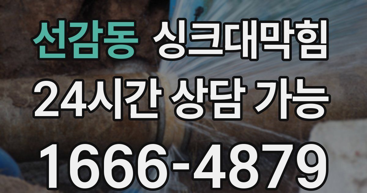 선감동 싱크대 뚫기