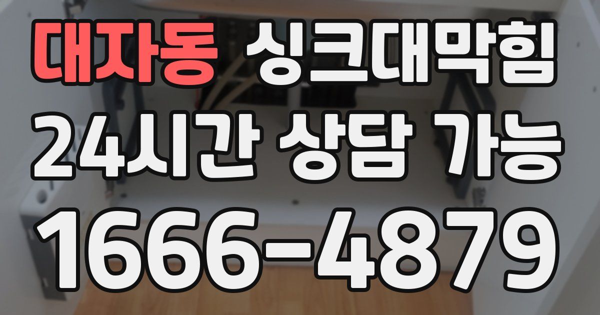 대자동 싱크대 뚫기