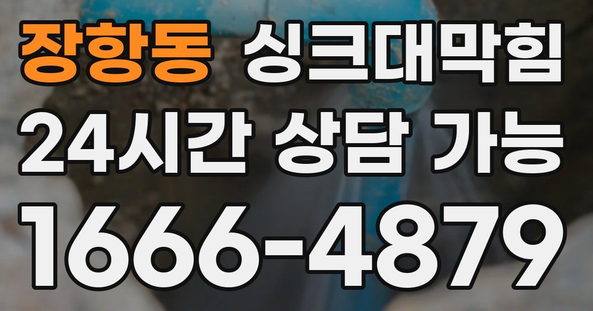장항동 싱크대 뚫기