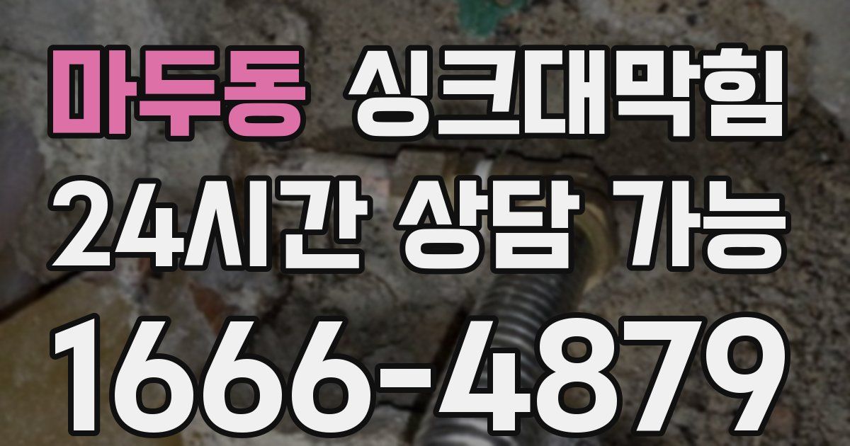 마두동 싱크대 뚫기