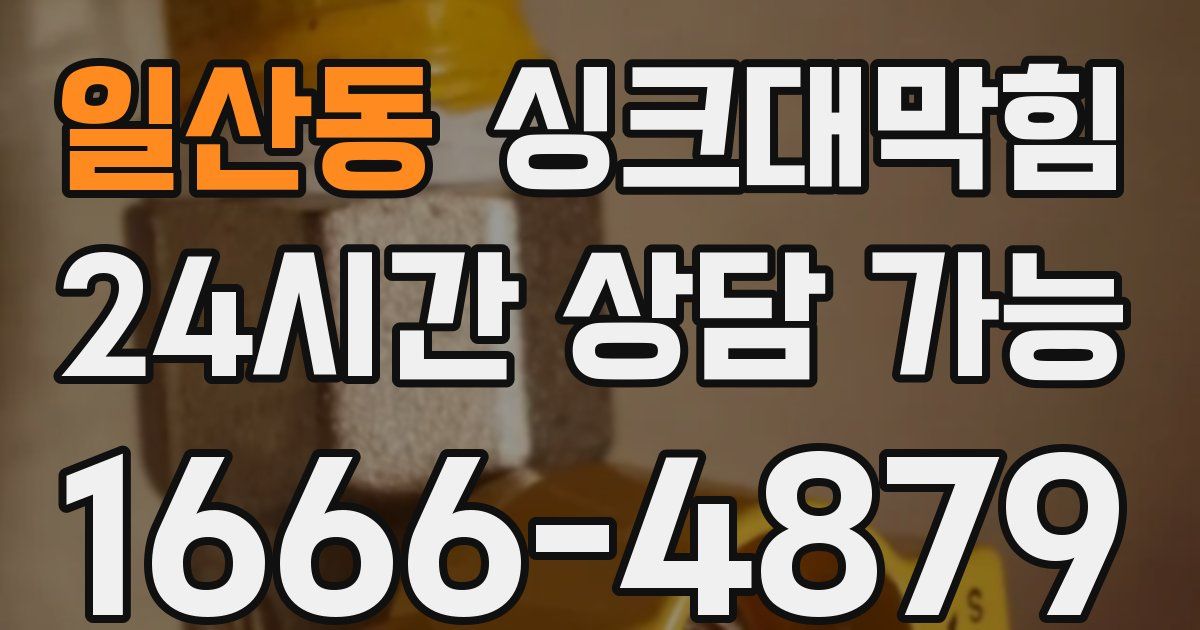 일산동 싱크대 뚫기