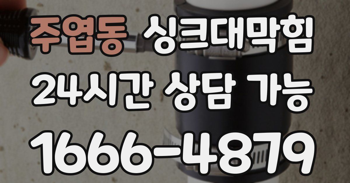 주엽동 싱크대 뚫기