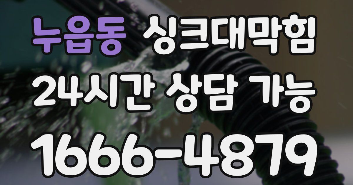 누읍동 싱크대 뚫기
