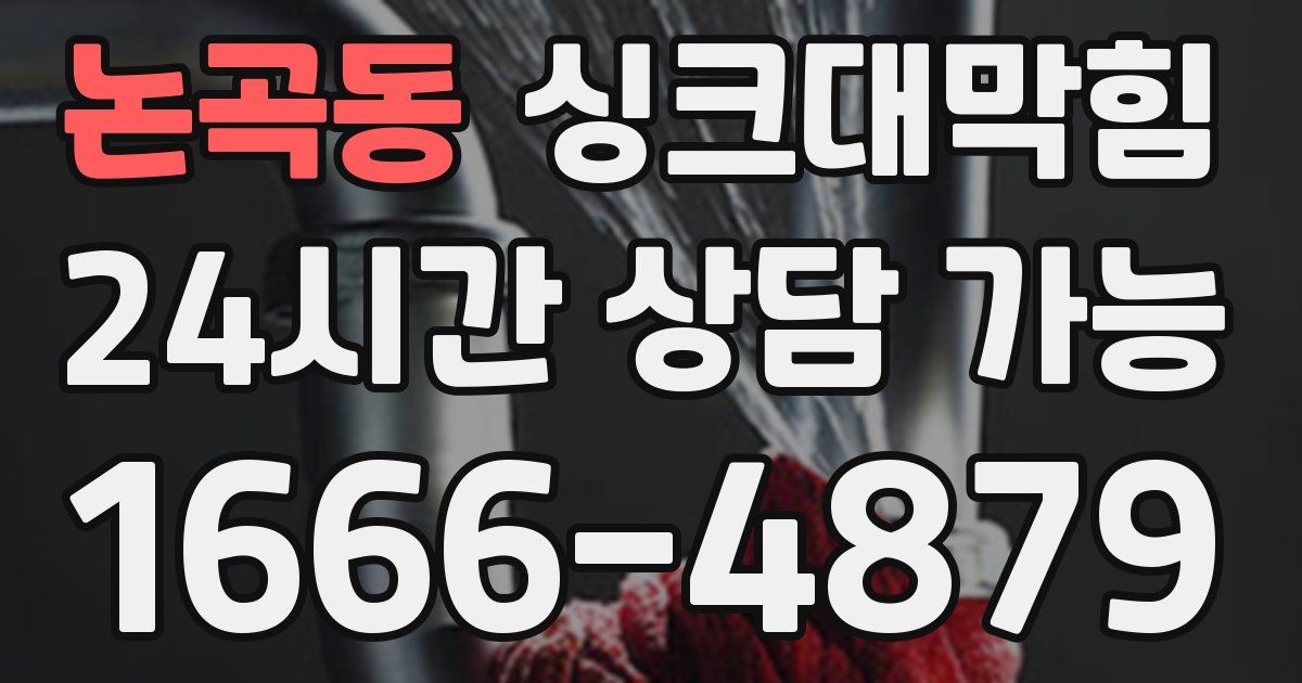 논곡동 싱크대 뚫기