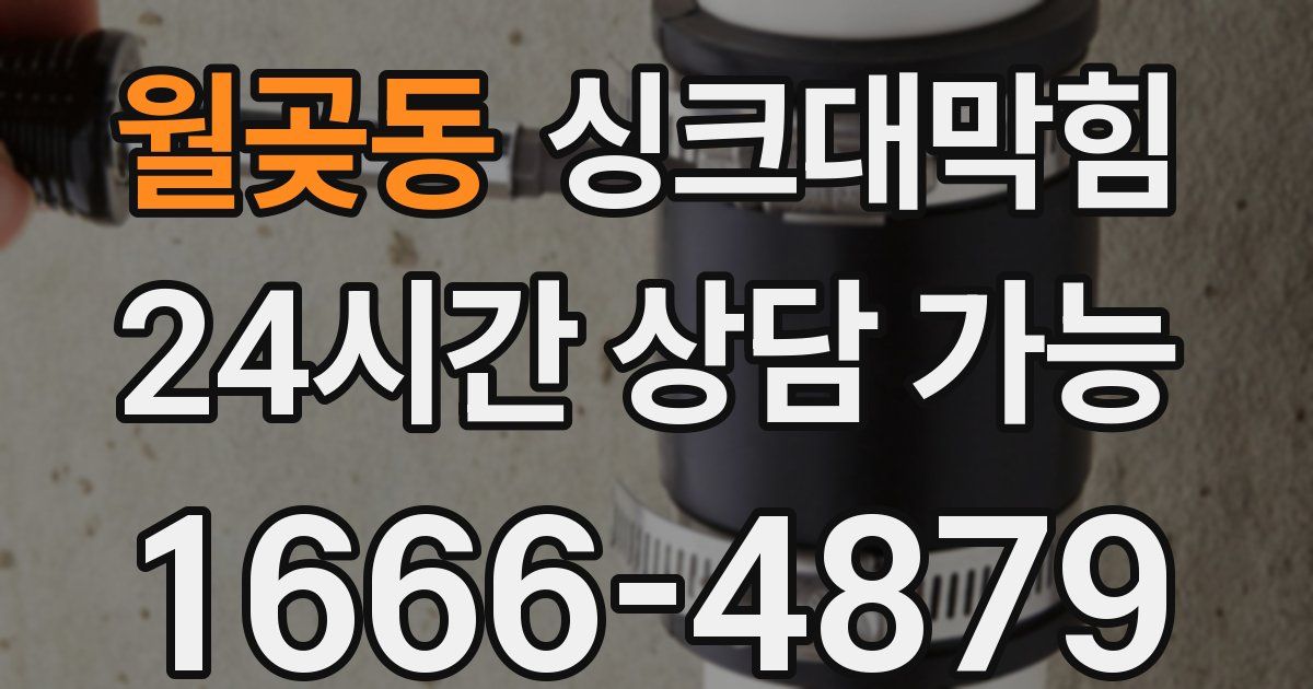 월곶동 싱크대 뚫기