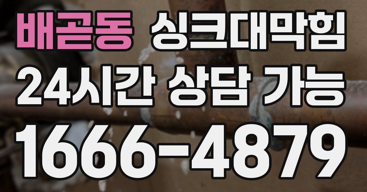 배곧동 싱크대 뚫기