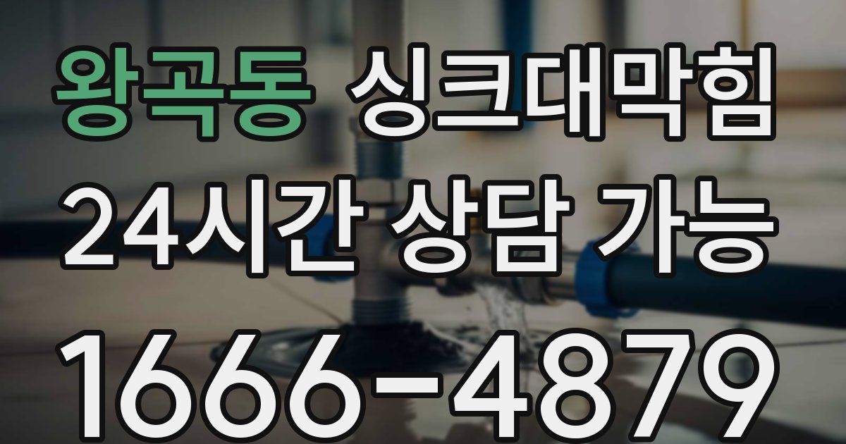 왕곡동 싱크대 뚫기