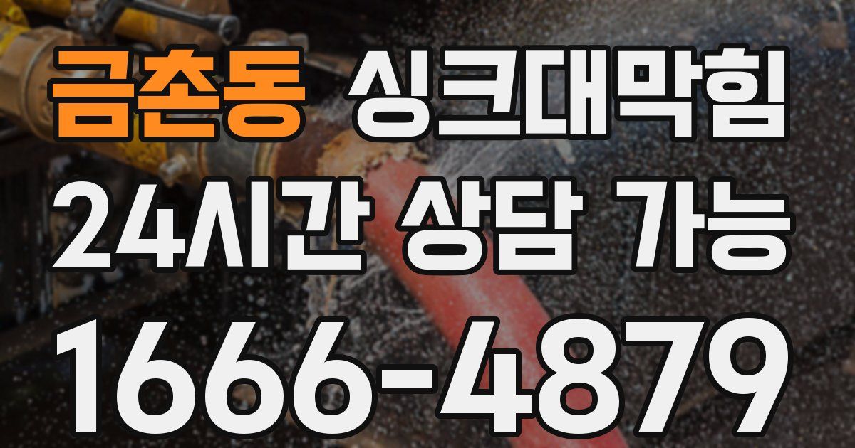 금촌동 싱크대 뚫기