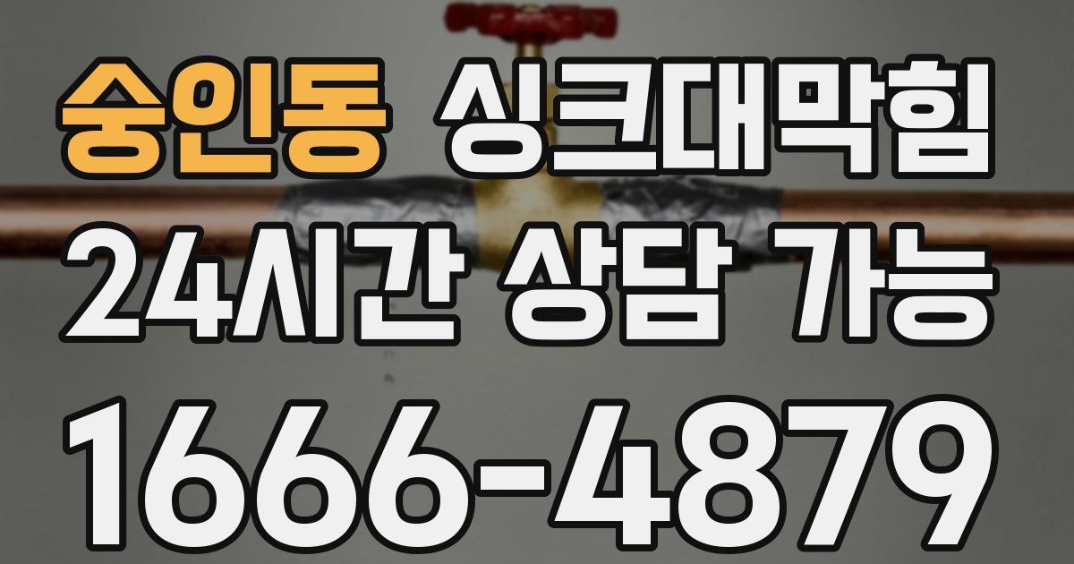 숭인동 싱크대 뚫기