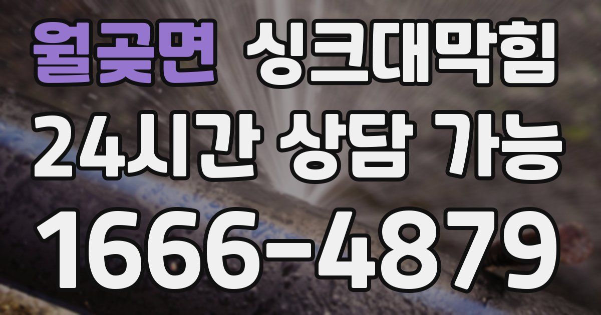 월곶면 싱크대 뚫기