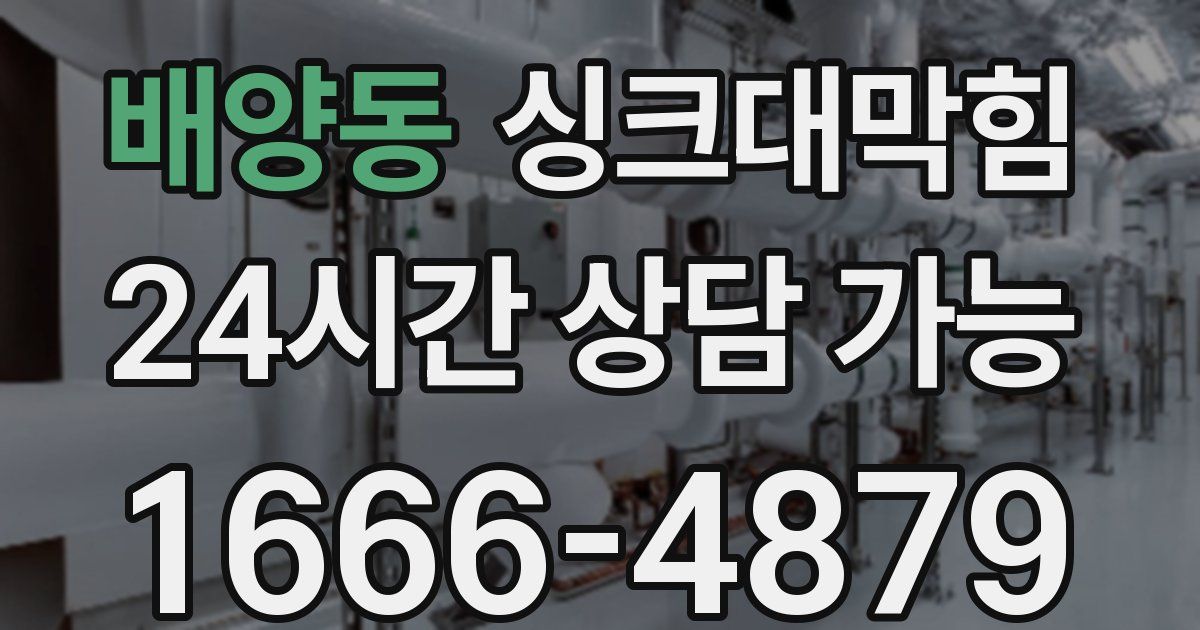 배양동 싱크대 뚫기