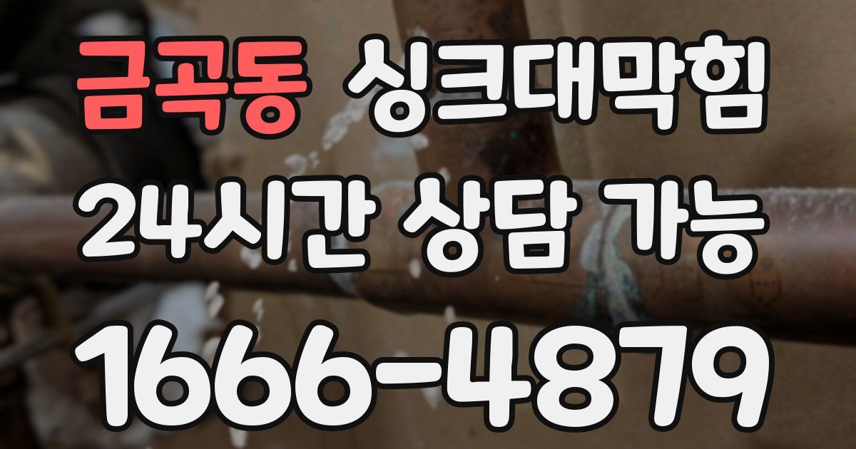 금곡동 싱크대 뚫기