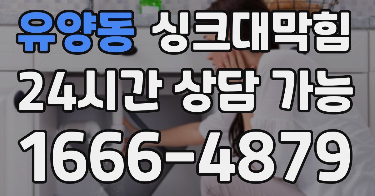 유양동 싱크대 뚫기