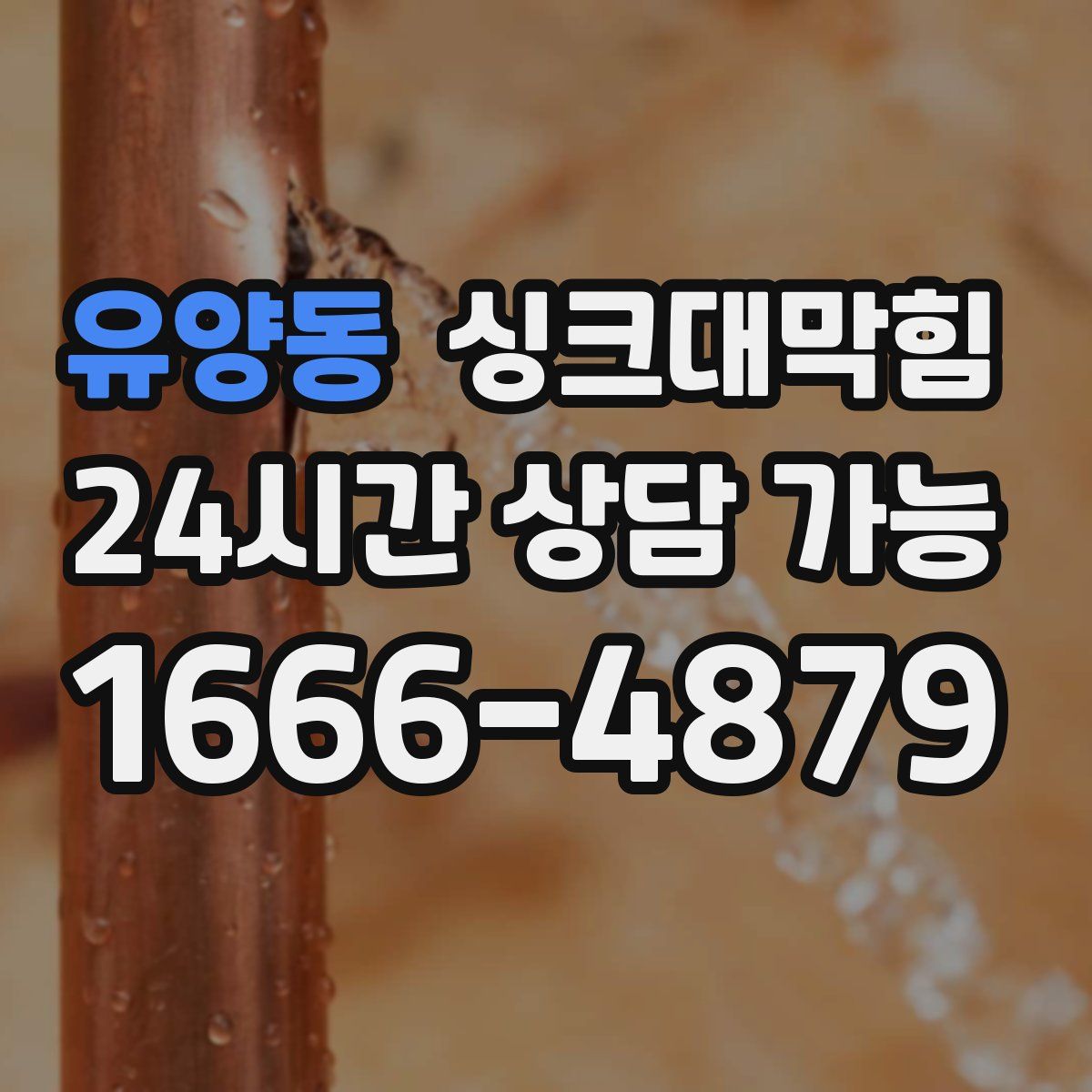 유양동 싱크대막힘