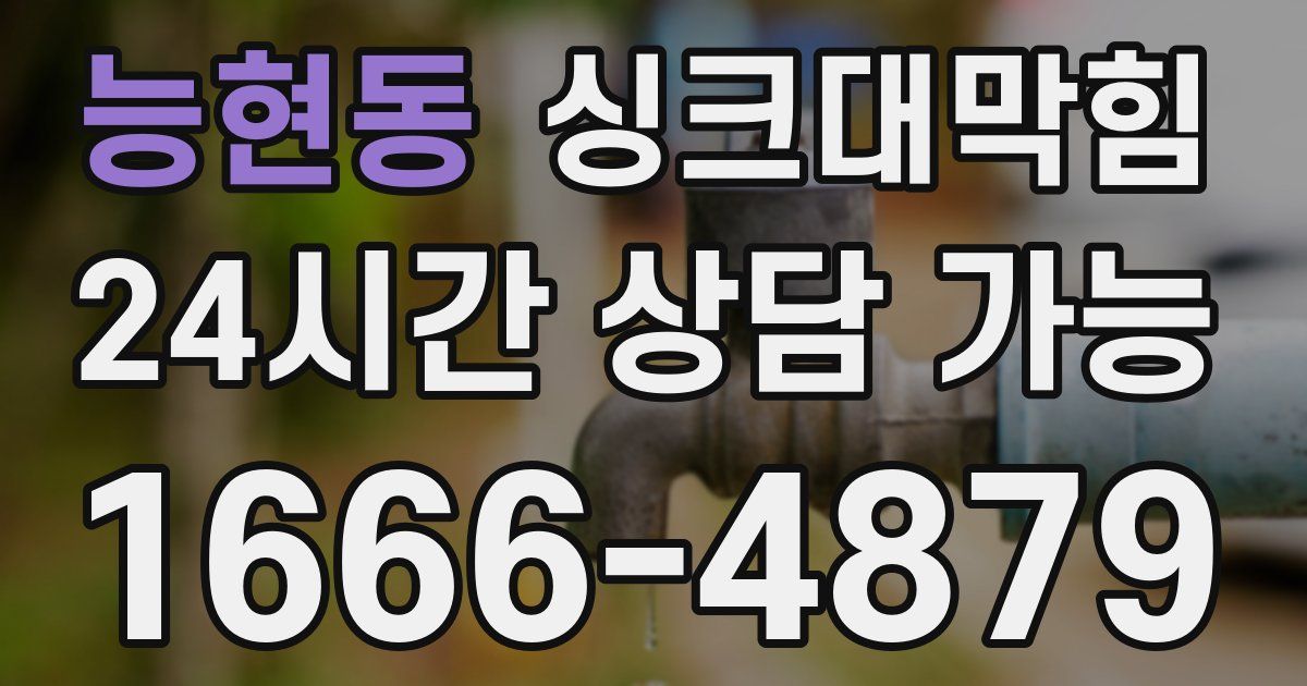 능현동 싱크대 뚫기