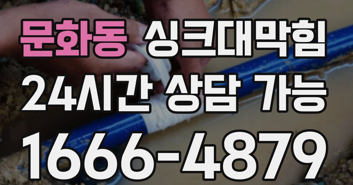 문화동 싱크대 뚫기