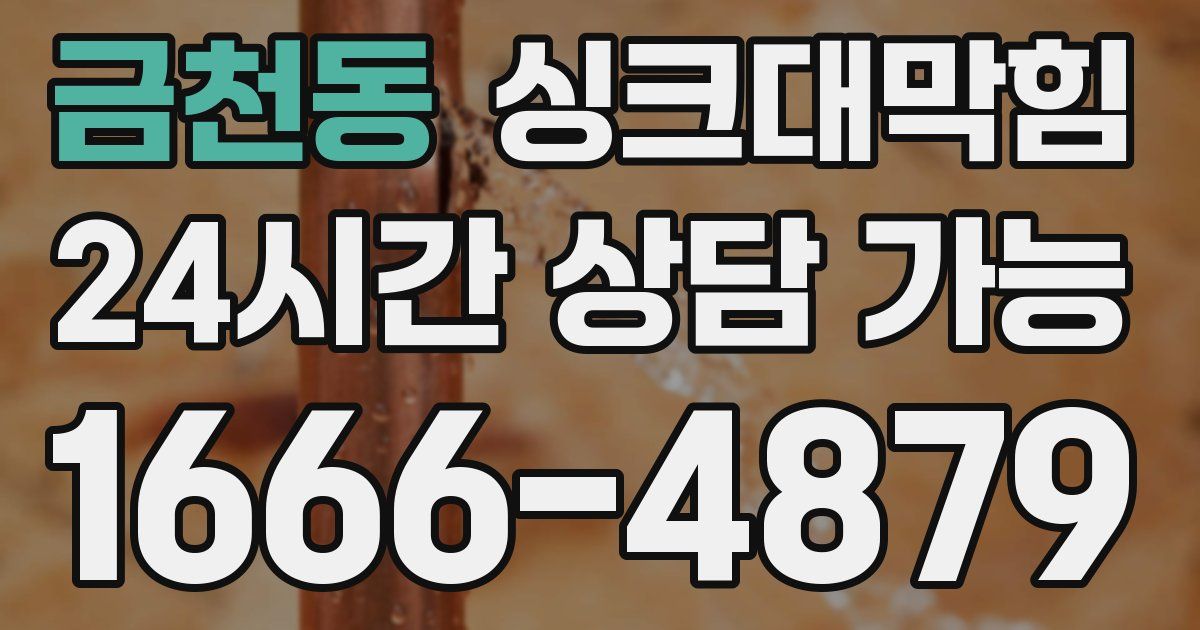 금천동 싱크대 뚫기