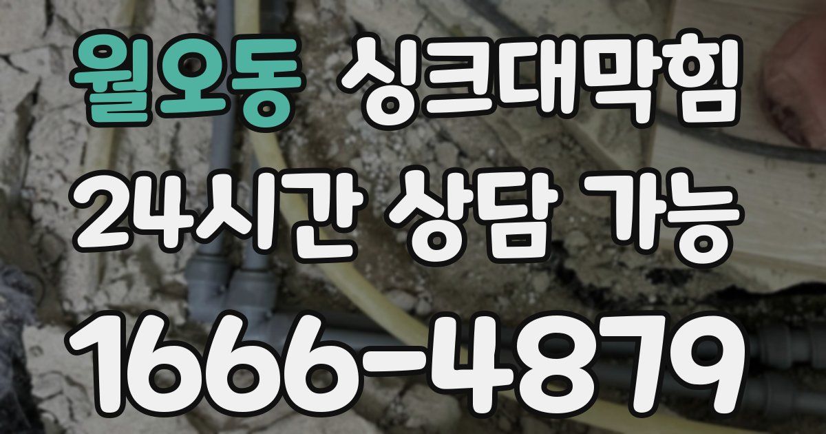 월오동 싱크대 뚫기