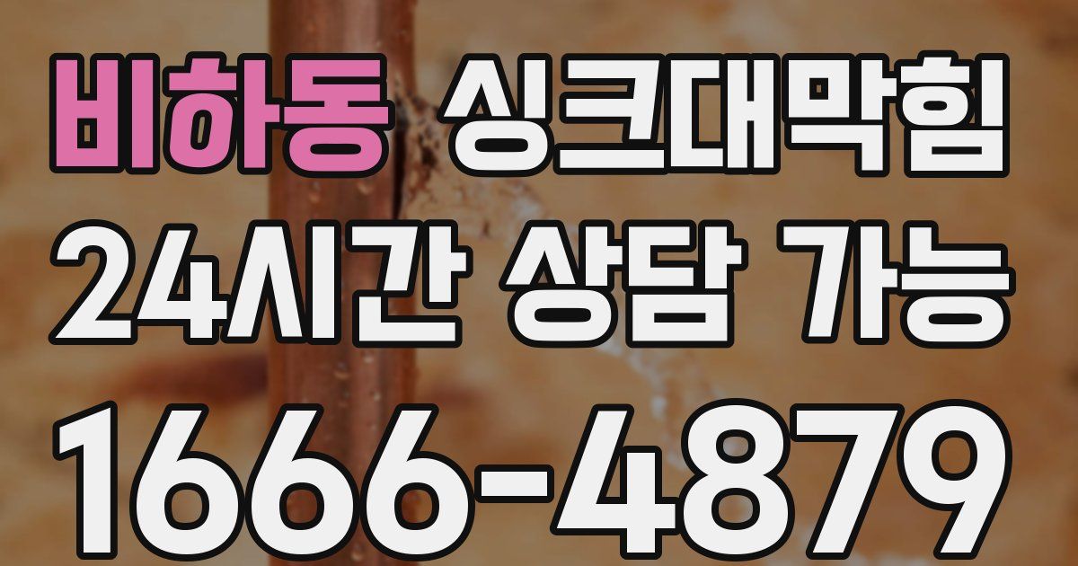 비하동 싱크대 뚫기
