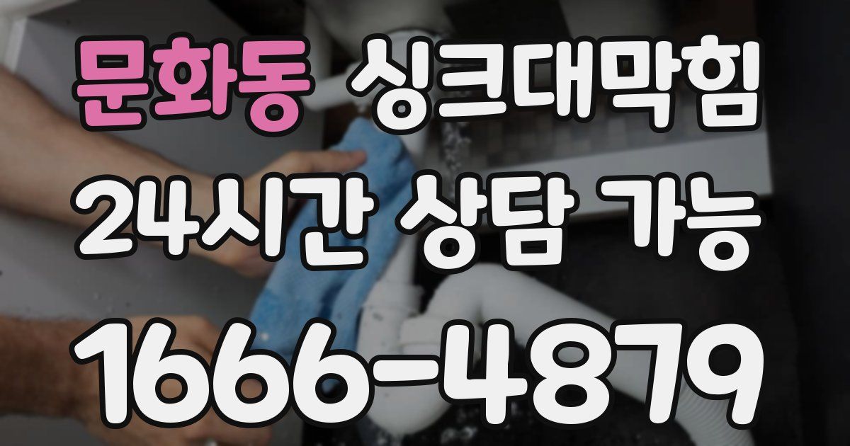 문화동 싱크대 뚫기