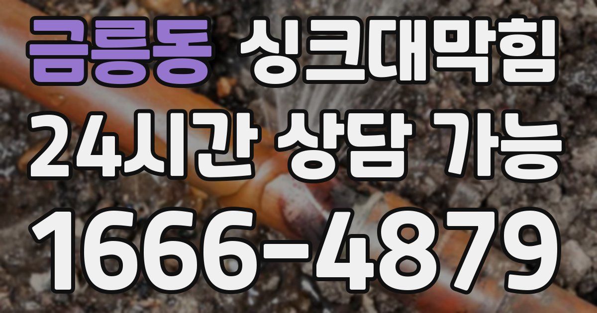 금릉동 싱크대 뚫기