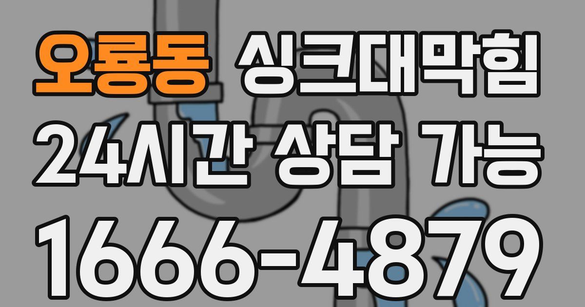 오룡동 싱크대 뚫기