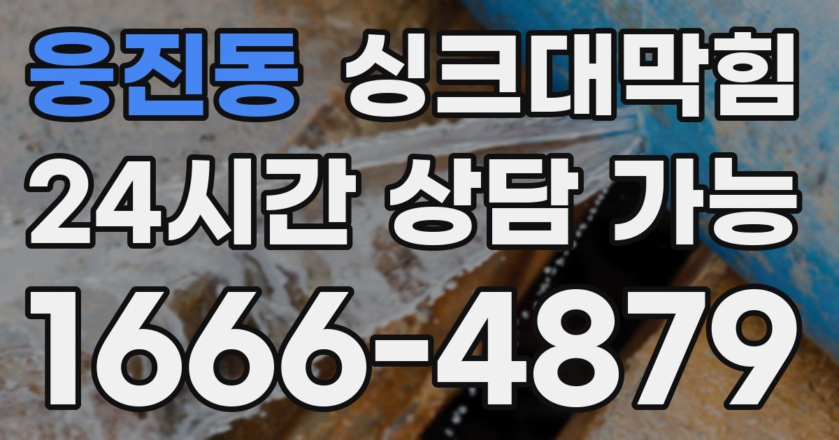 웅진동 싱크대 뚫기