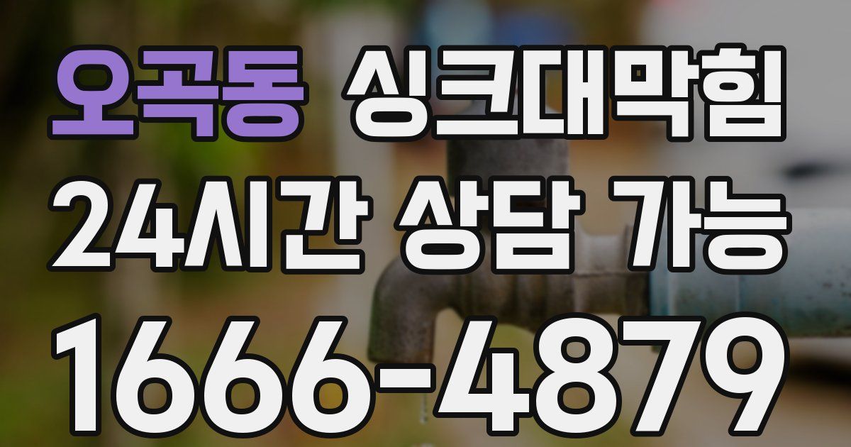 오곡동 싱크대 뚫기