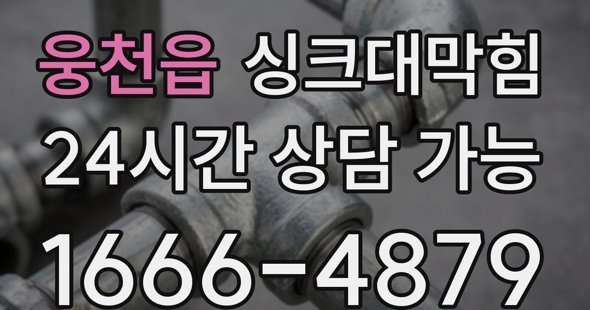 웅천읍 싱크대 뚫기