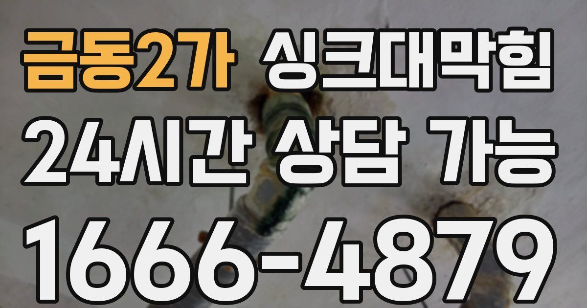 금동2가 싱크대 뚫기