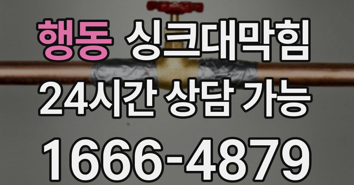 행동 싱크대 뚫기