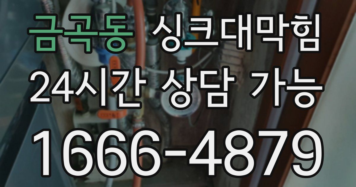 금곡동 싱크대 뚫기