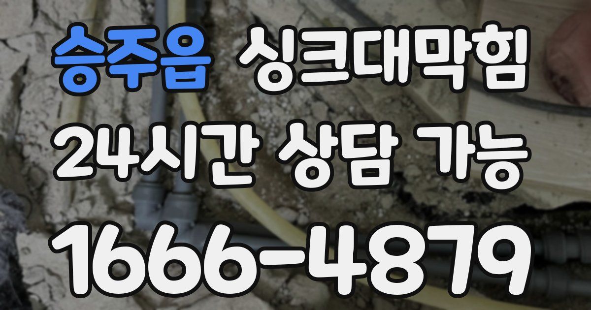 승주읍 싱크대 뚫기