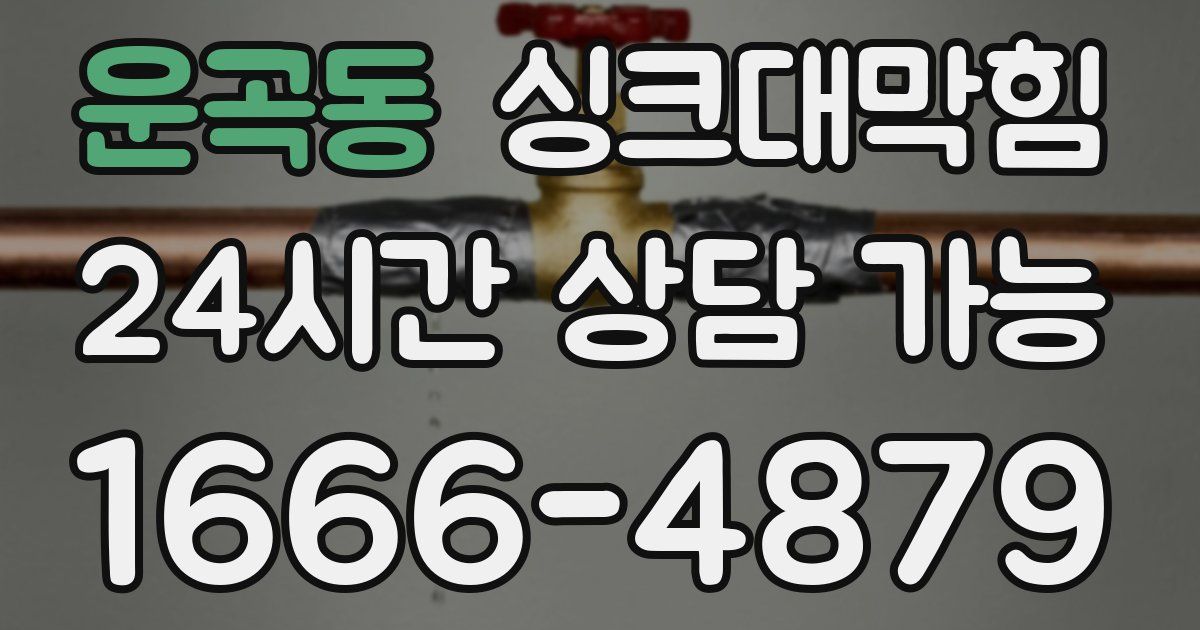 운곡동 싱크대 뚫기