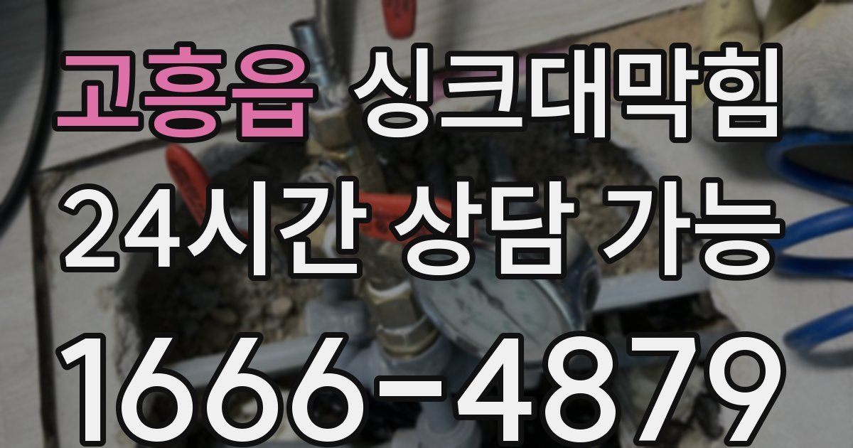 고흥읍 싱크대 뚫기