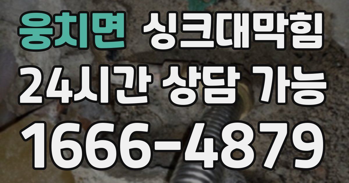 웅치면 싱크대 뚫기