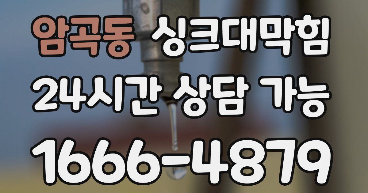 암곡동 싱크대 뚫기