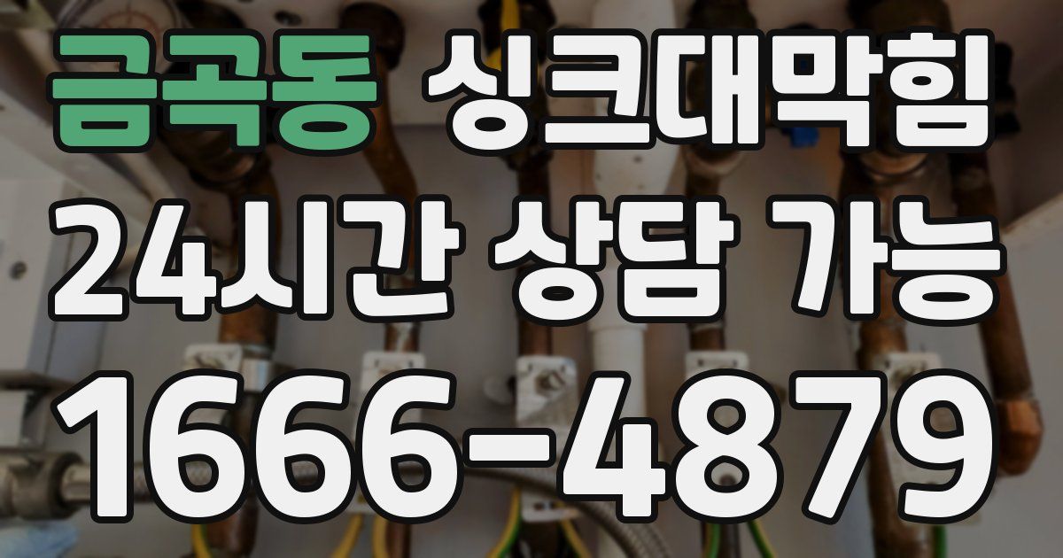 금곡동 싱크대 뚫기