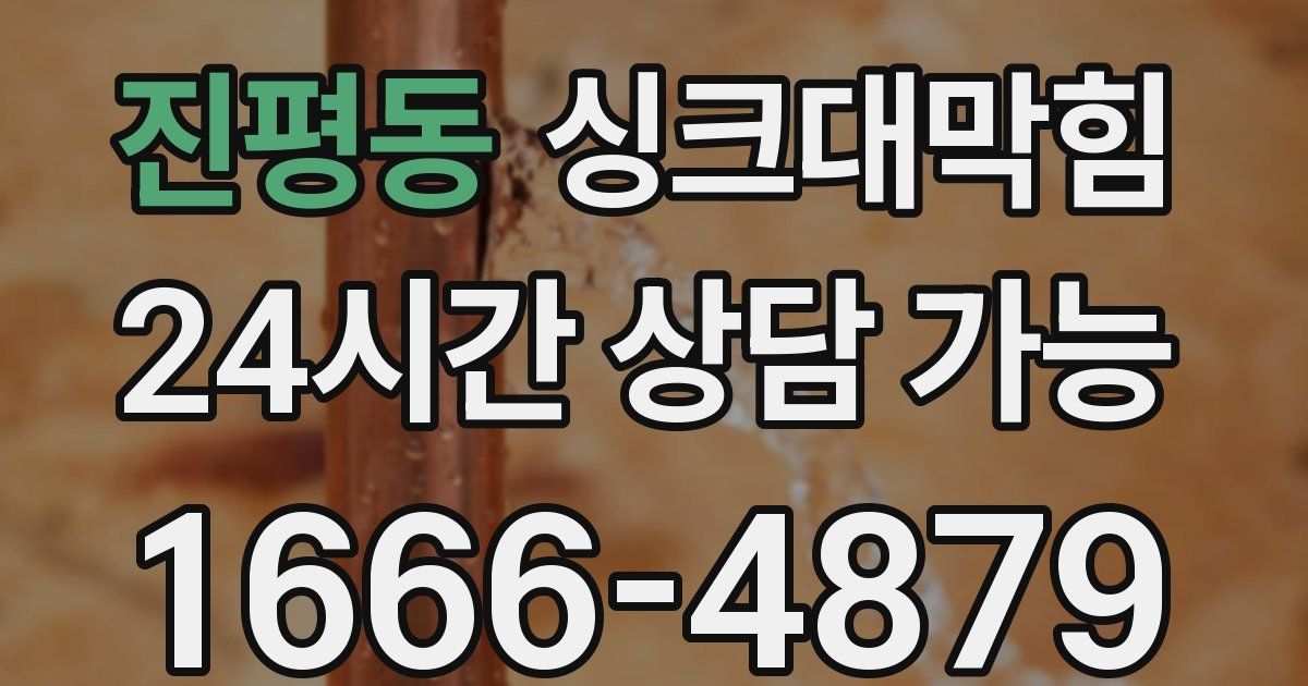 진평동 싱크대 뚫기