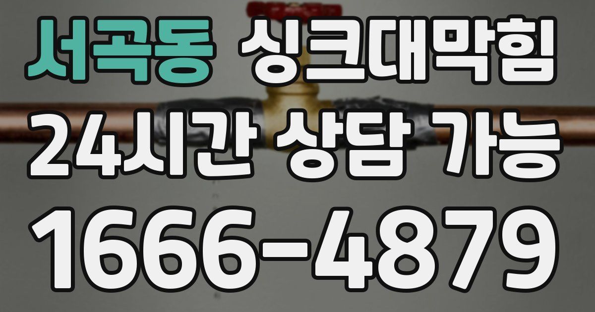 서곡동 싱크대 뚫기