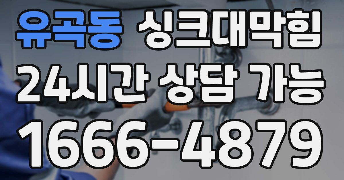 유곡동 싱크대 뚫기