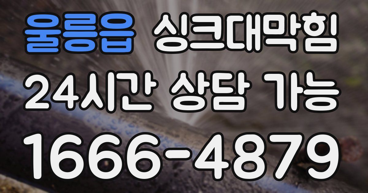 울릉읍 싱크대 뚫기