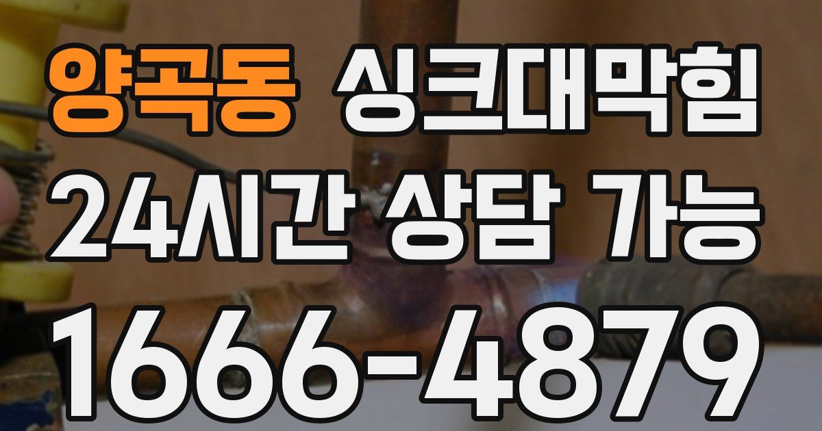 양곡동 싱크대 뚫기