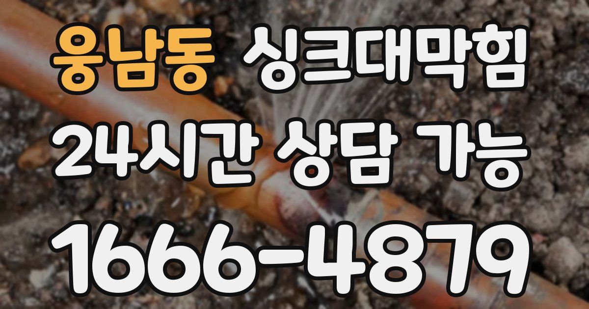 웅남동 싱크대 뚫기