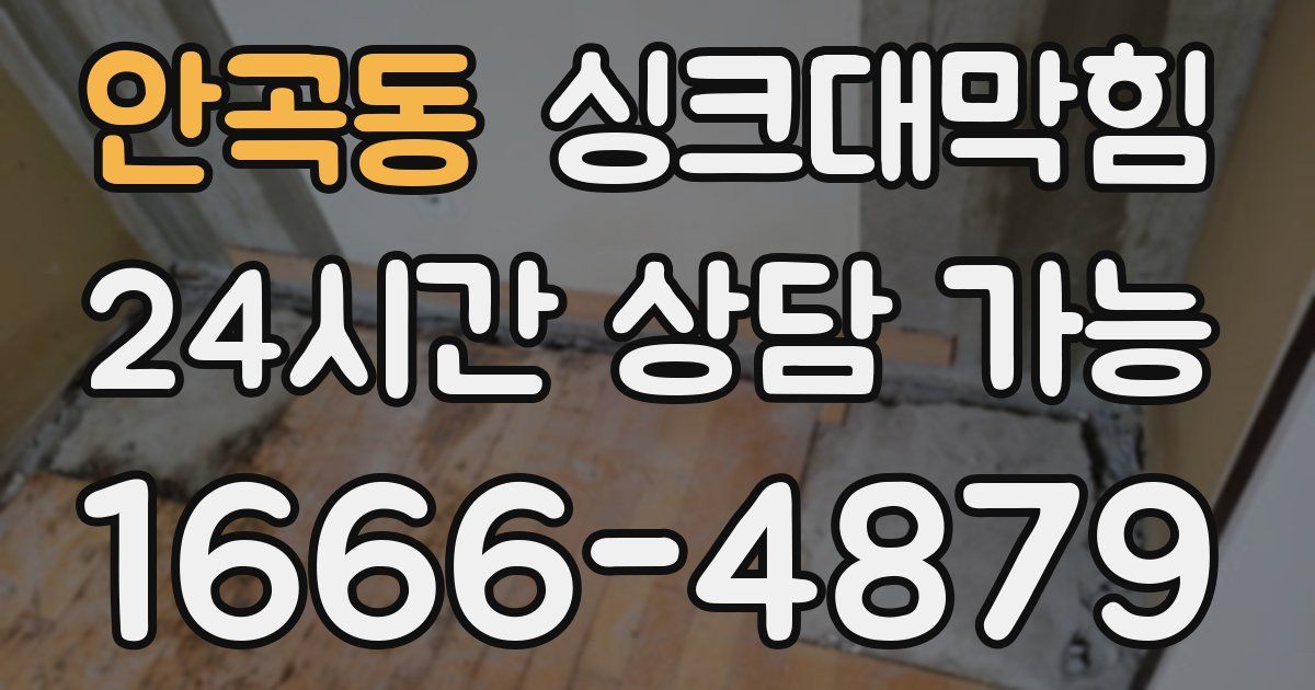 안곡동 싱크대 뚫기