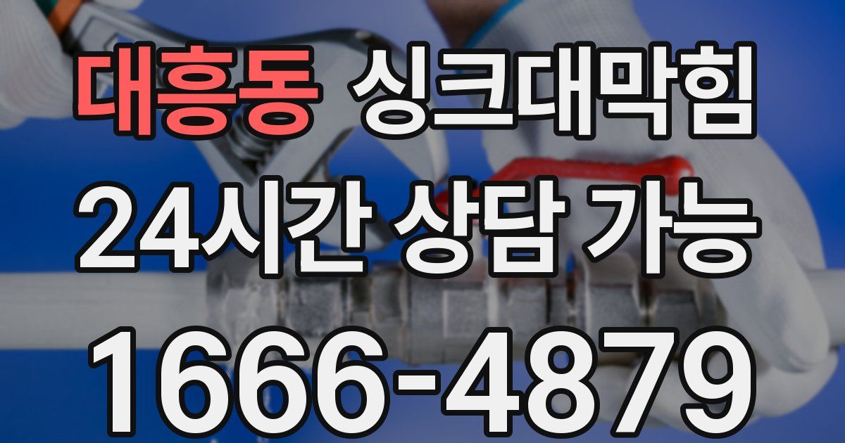 대흥동 싱크대 뚫기